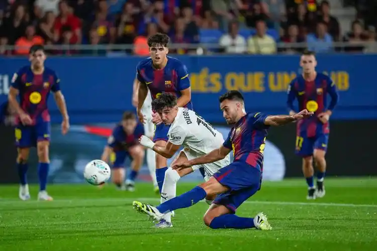 雨燕直播免费观看